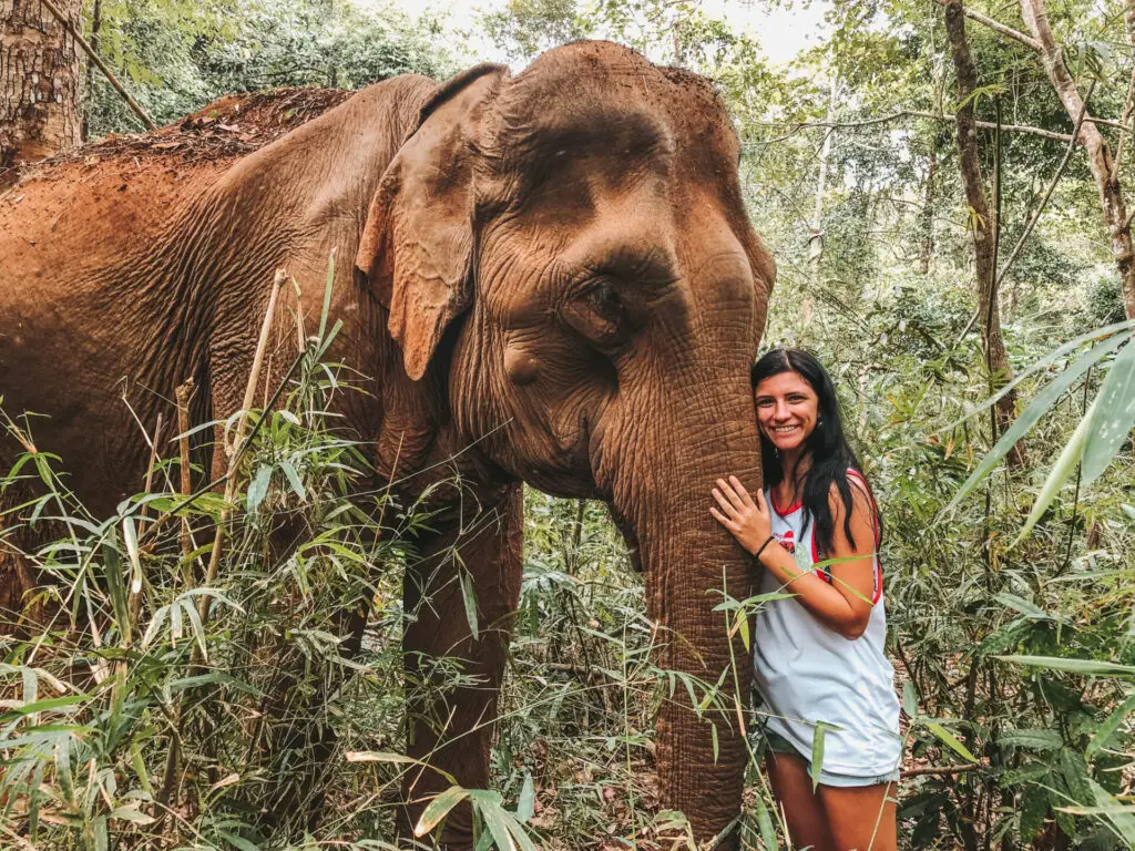 %visiting Mondulkiri Project Elephant Sanctuary%