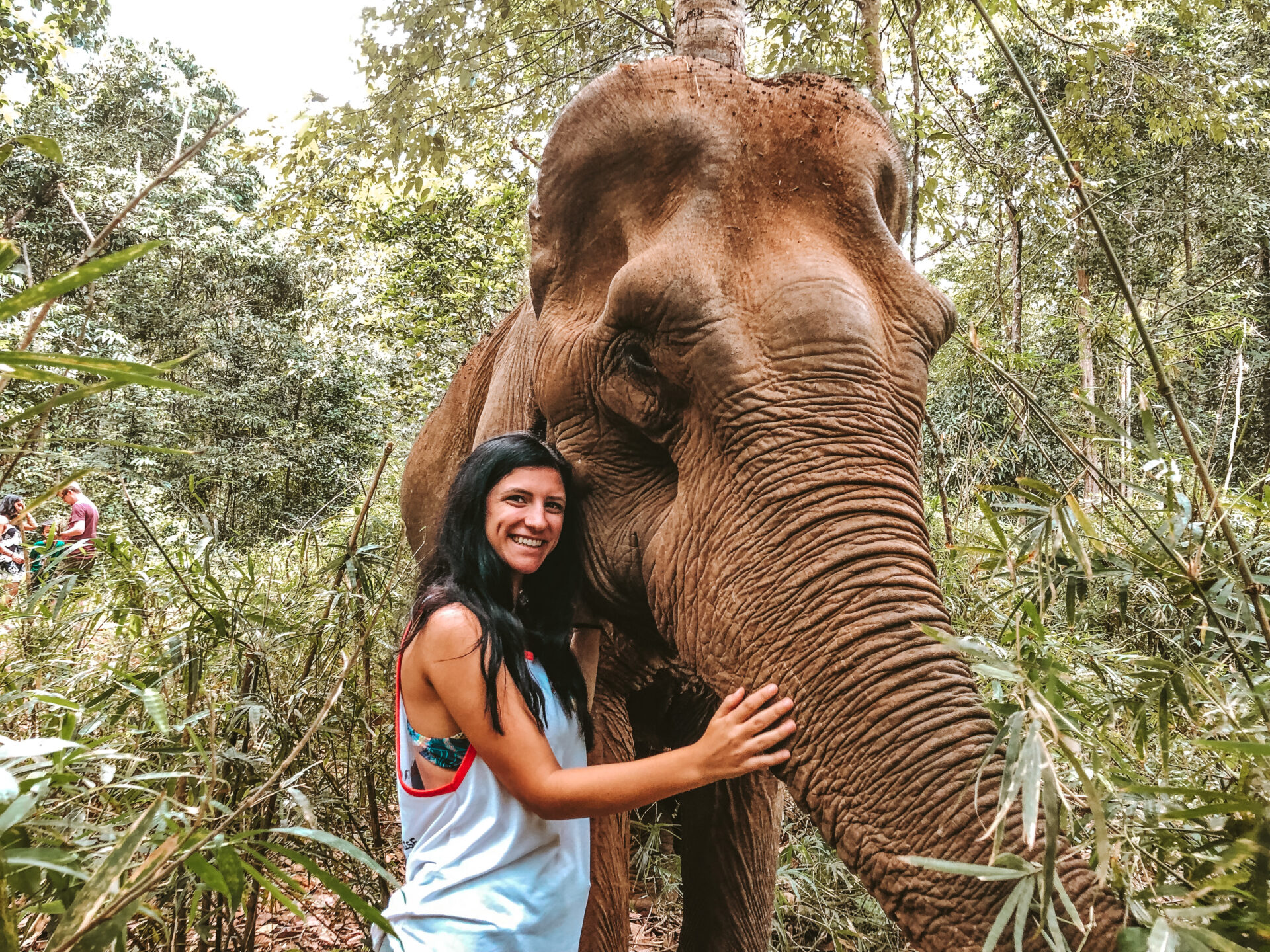 %Visiting Mondulkiri Project Elephant Sanctuary%