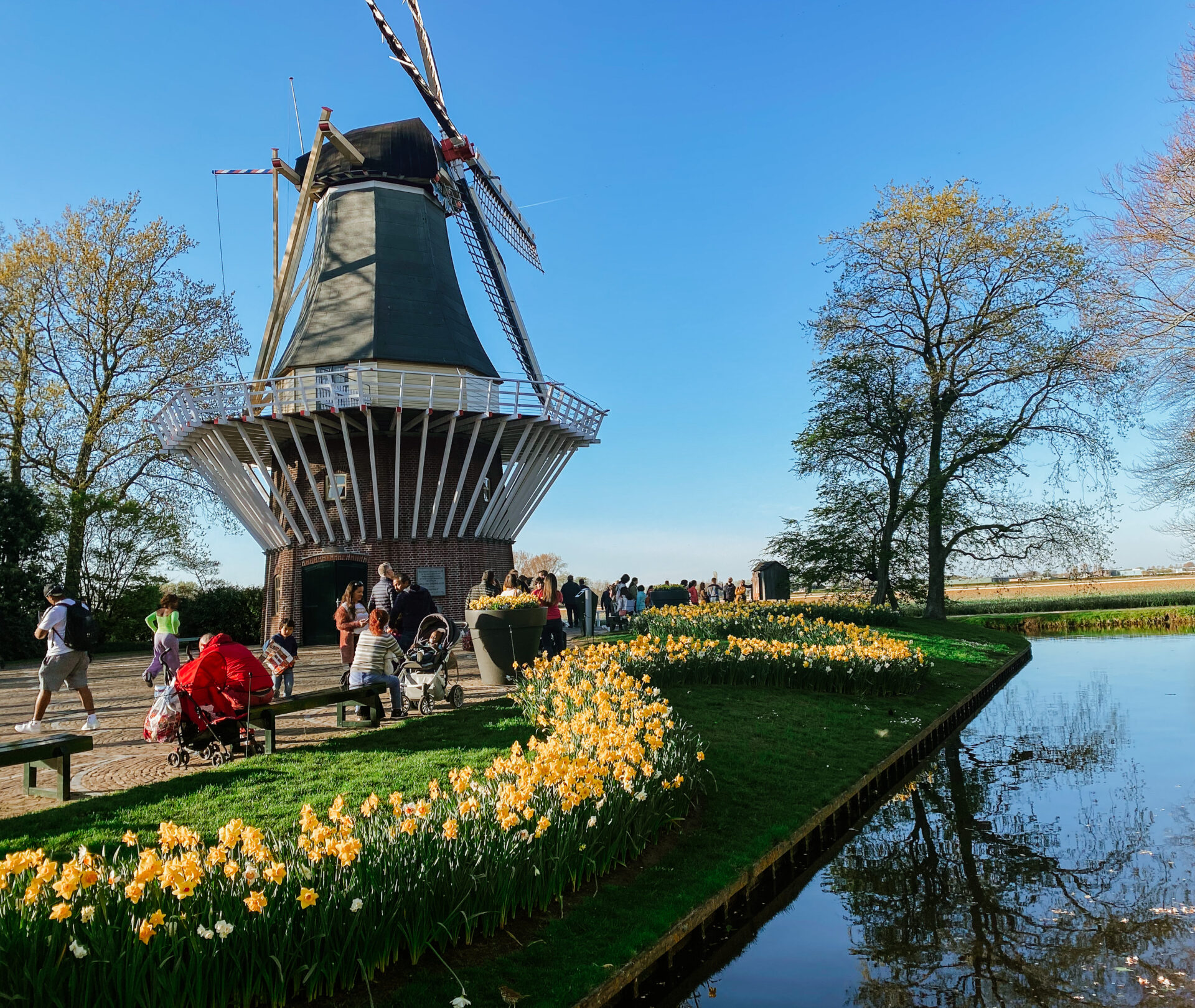 windmill at keukenhof