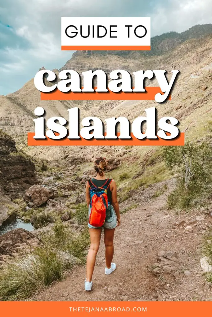 repin: guide to the canary islands
